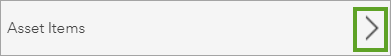 Asset Items arrow Asset Items arrow